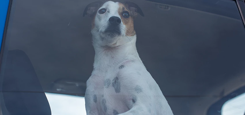 Car Lockout Solutions in Petaluma, California